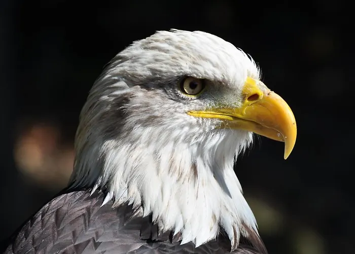 شقة Przystanek أوسترون